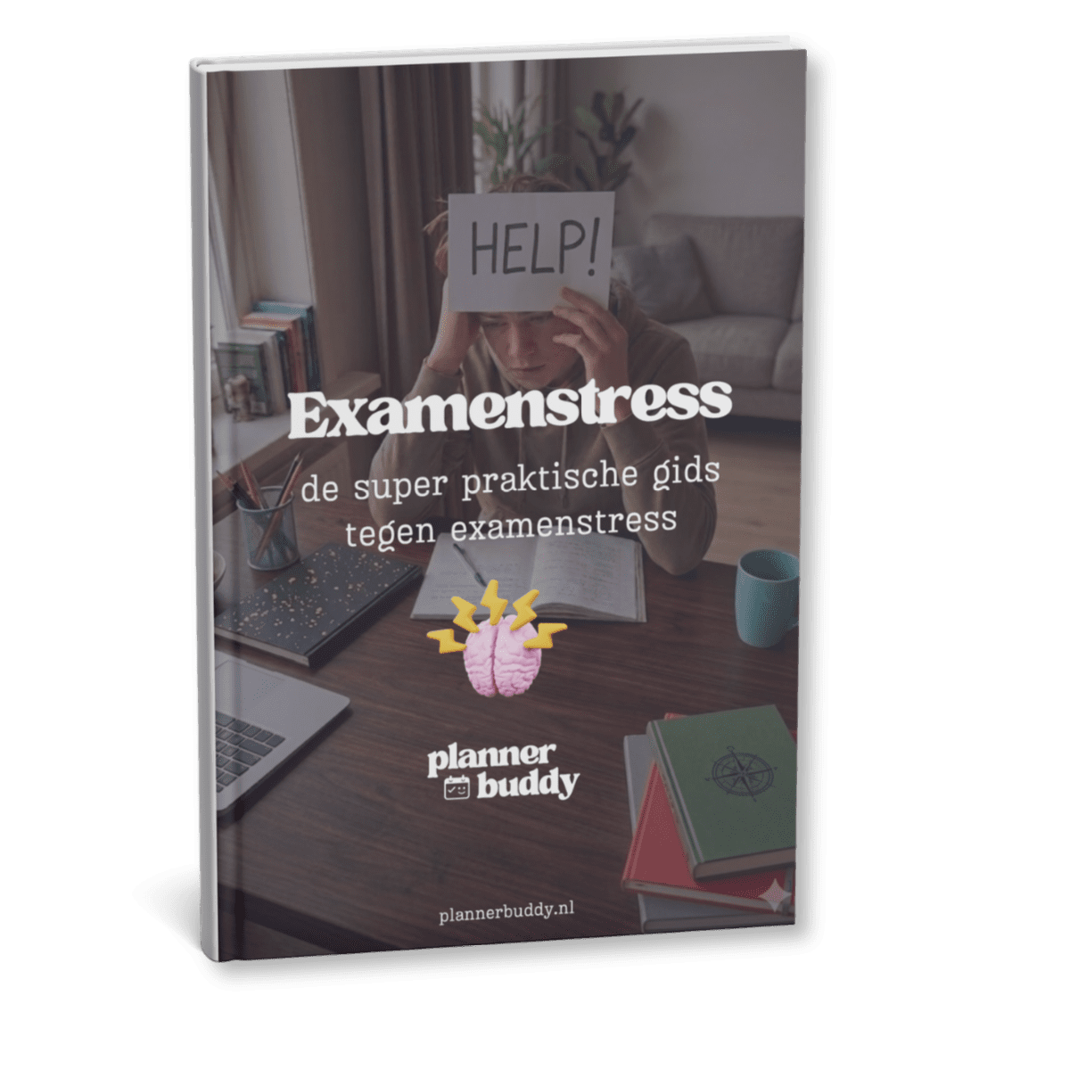 Examengids tegen examenstress